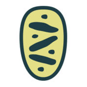 Myzenteam