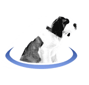 BerniePortal