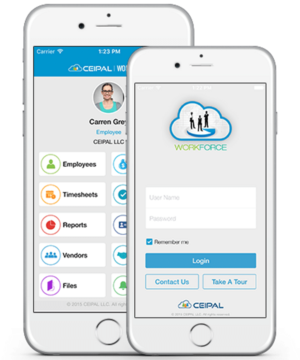 CEIPAL Workforce Screenshot 3