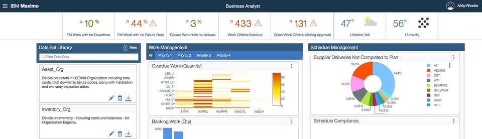 IBM Maximo Screenshot 1