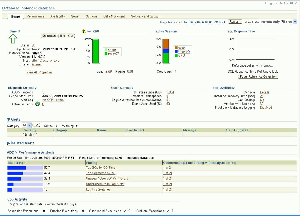 Oracle Database Screenshot 2
