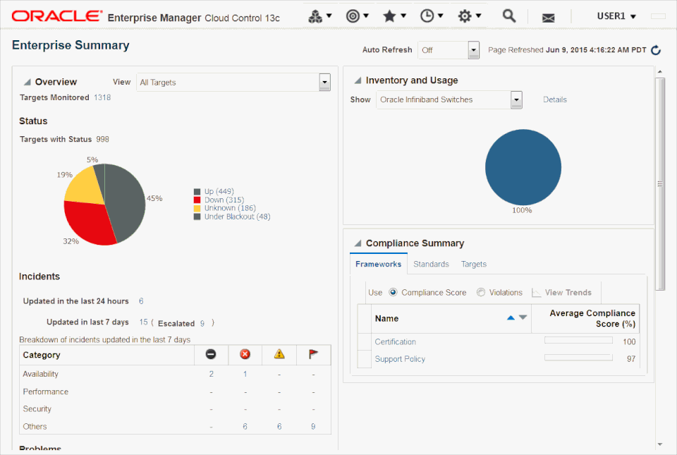 Oracle Enterprise Manager Screenshot 2