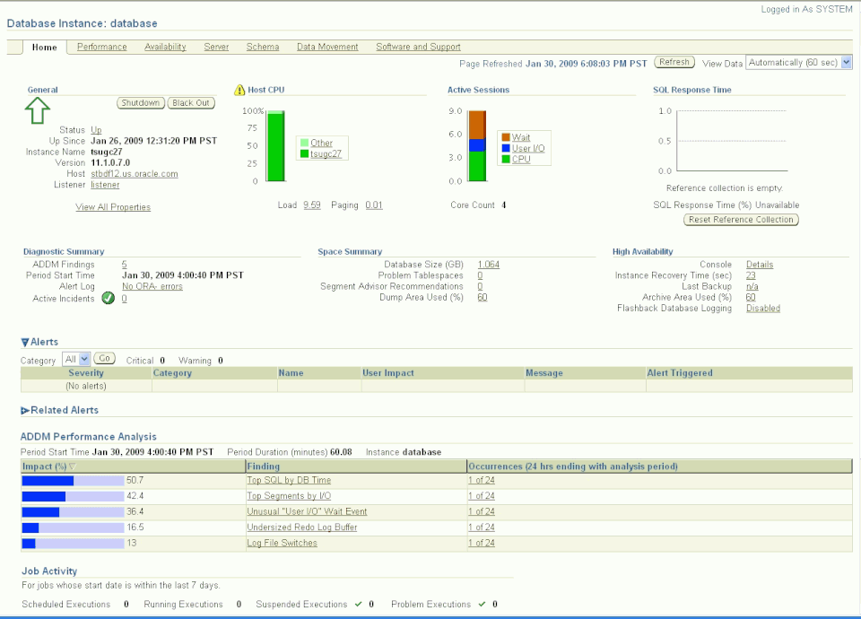 Oracle Enterprise Manager Screenshot 3