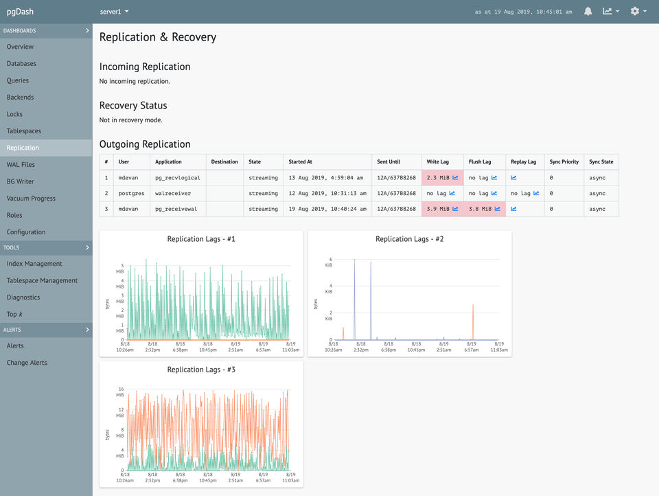 pgDash Screenshot 3