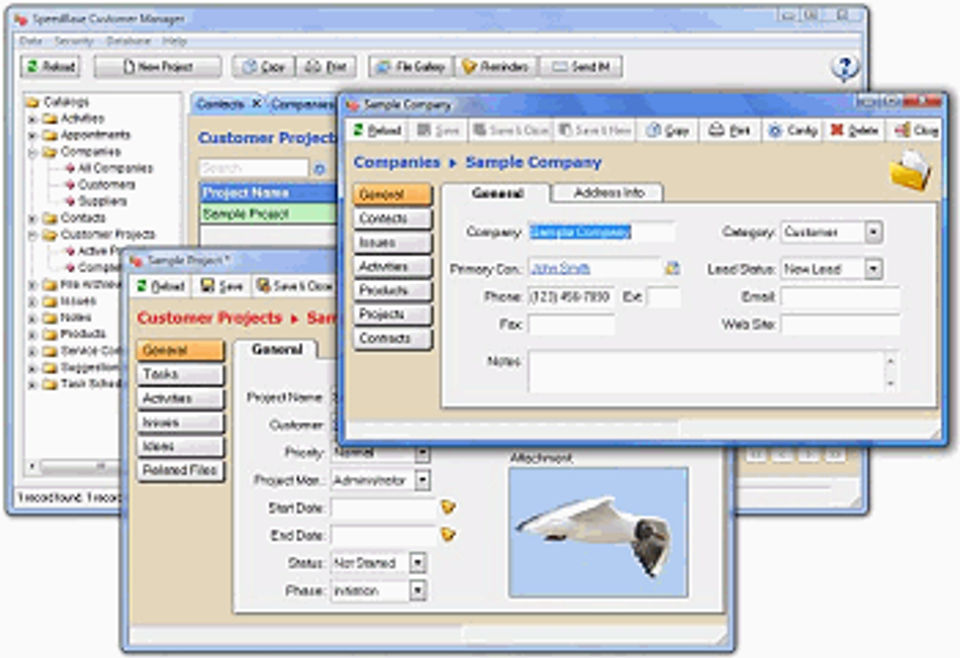 SpeedBase Professional Screenshot 1