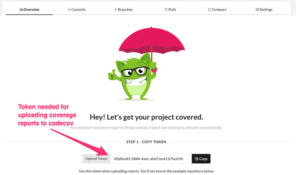 Codecov Screenshot 3