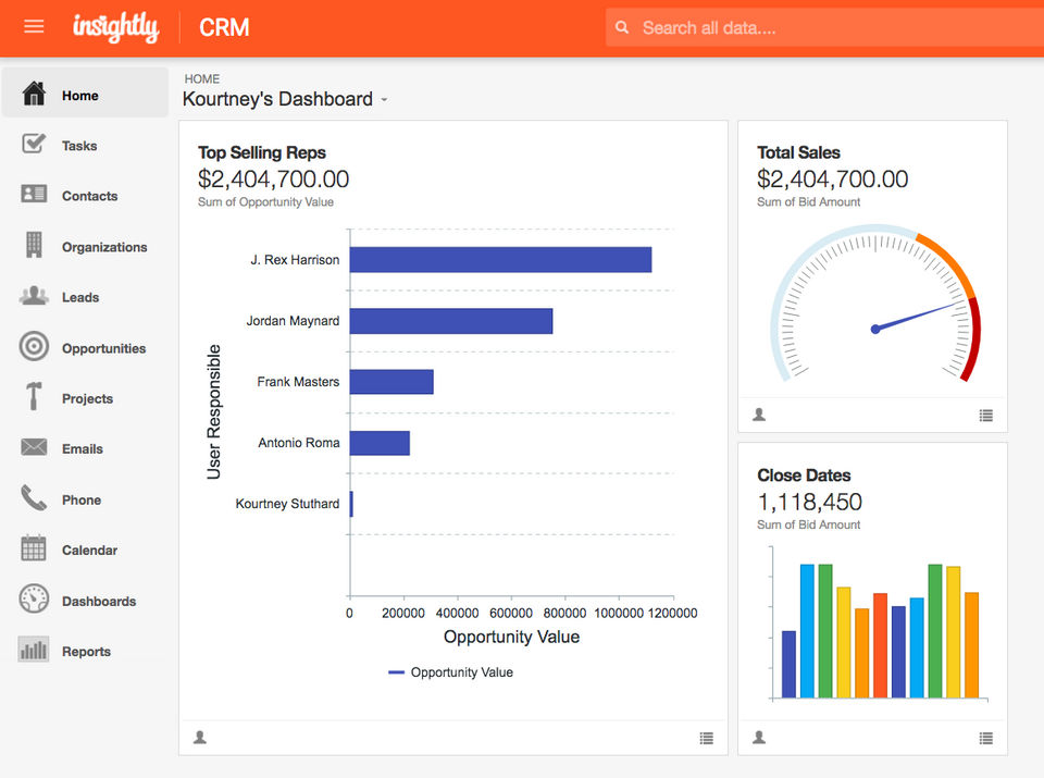 Insightly Screenshot 3