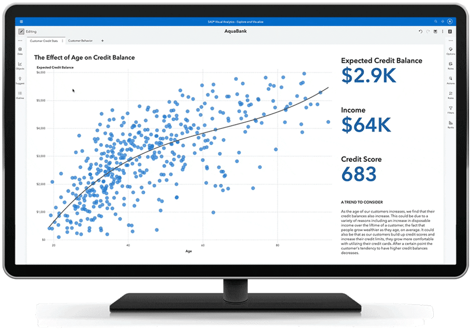 SAS Business Intelligence Screenshot 1