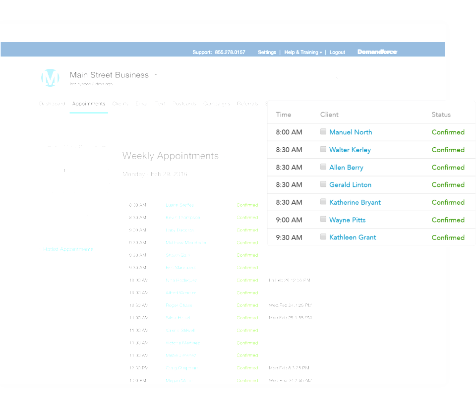 Demandforce Screenshot 2