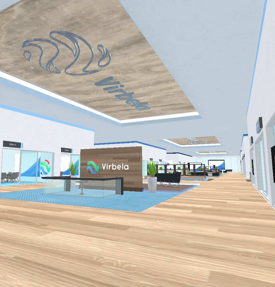Virbela Screenshot 4