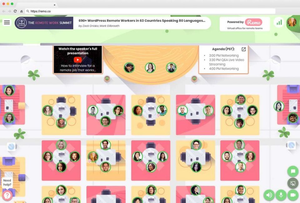 Remo Conference Screenshot 1