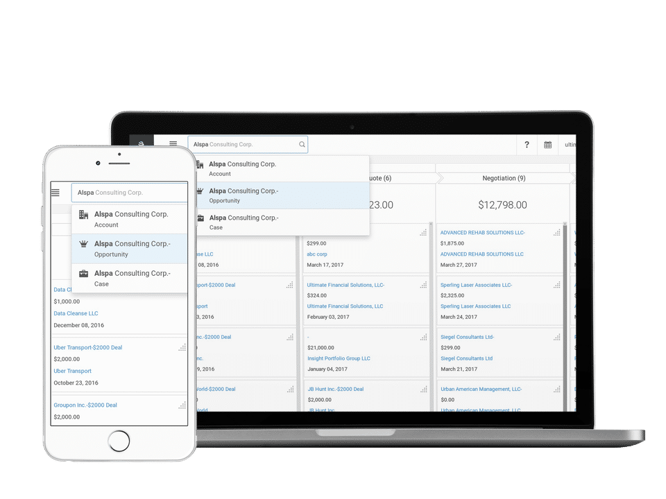 Snapforce CRM Screenshot 1