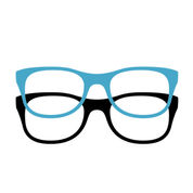 Four Eyes Surveys