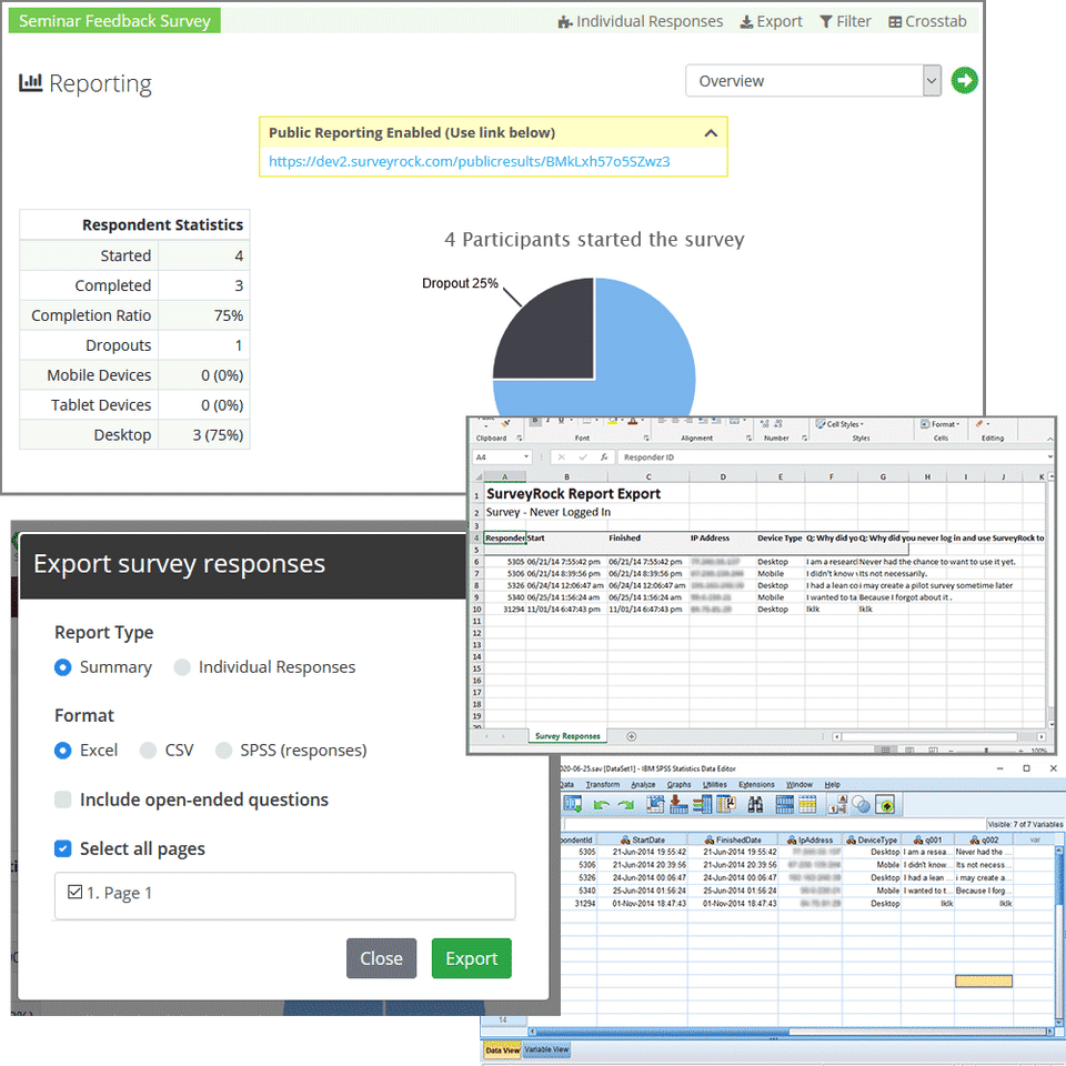 SurveyRock Screenshot 3