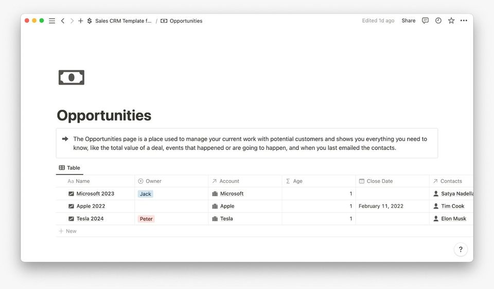 Sales CRM Template for Notion Screenshot 6