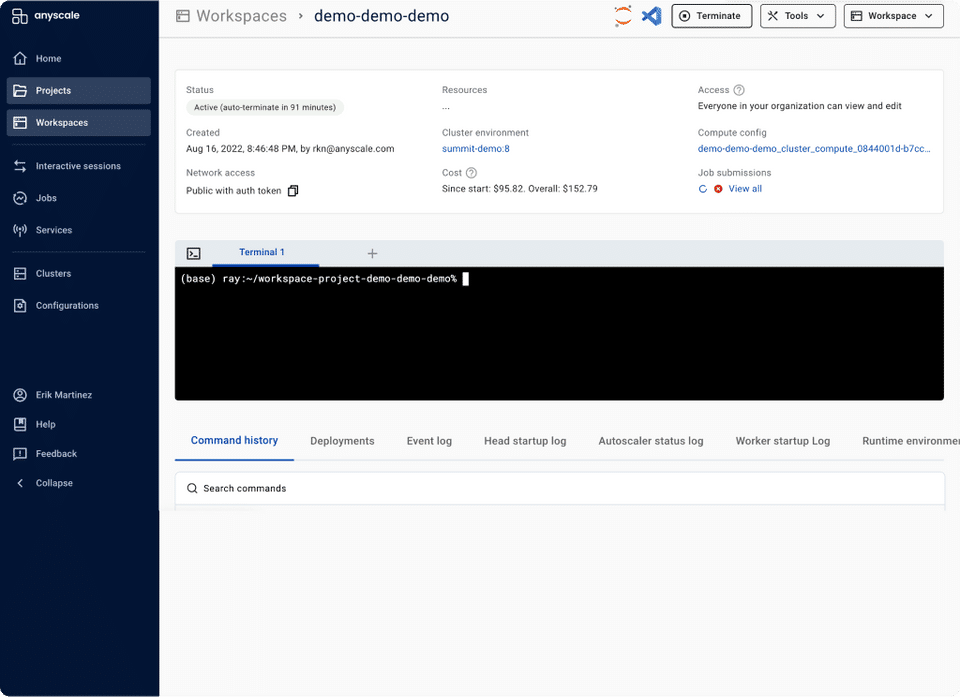 Anyscale Screenshot 1
