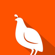 Quail Alternatives & Competitors