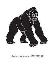 Gorilla Terminal Alternatives & Competitors