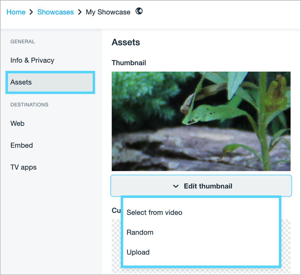 Vimeo Stock Screenshot 1