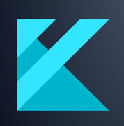 Kickfin
