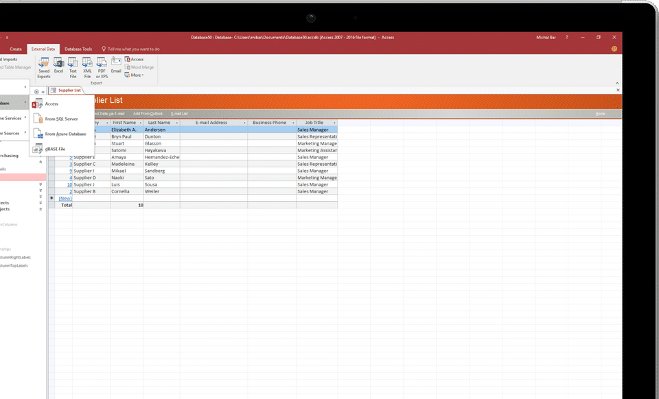 Microsoft Access Screenshot 3