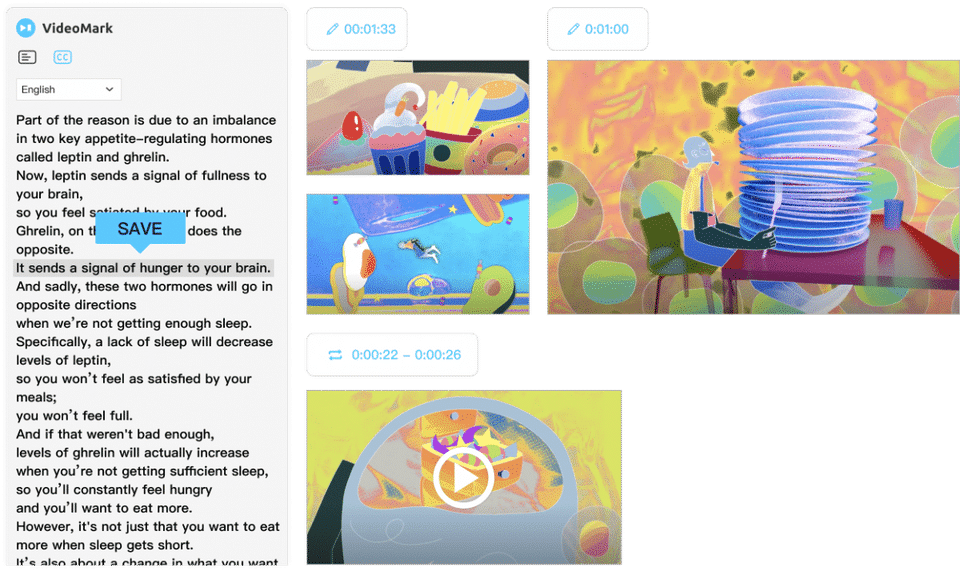 VideoMark Screenshot 2
