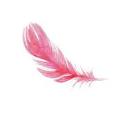 Feather Alternatives & Competitors