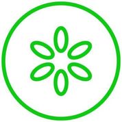 Pickle Alternatives & Competitors