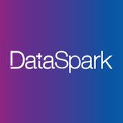 DataSpark Alternatives & Competitors