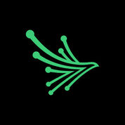 Black Kite Alternatives & Competitors