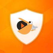PallyCon Multi DRM Alternatives & Competitors