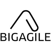 BigAgile Alternatives & Competitors