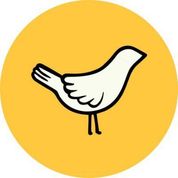 150birds