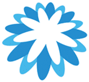 Coupa Budgets