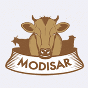 Modisar Alternatives & Competitors