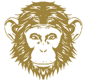 Omneky Alternatives & Competitors