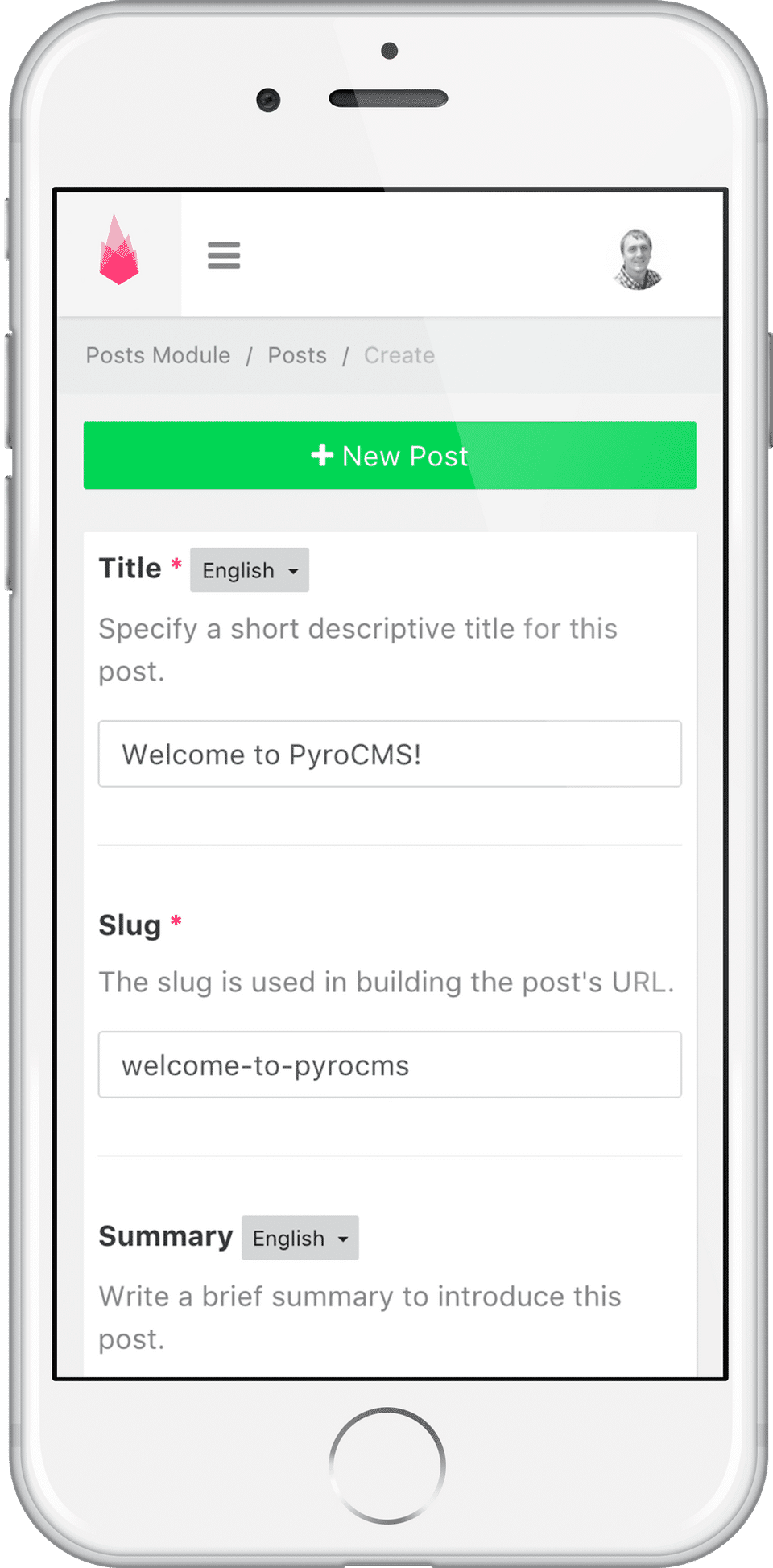 PyroCMS Screenshot 2