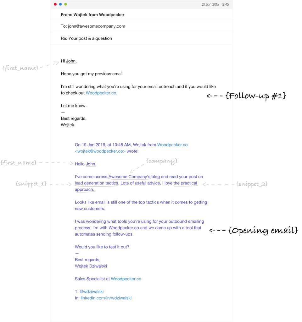 Woodpecker.co Screenshot 1