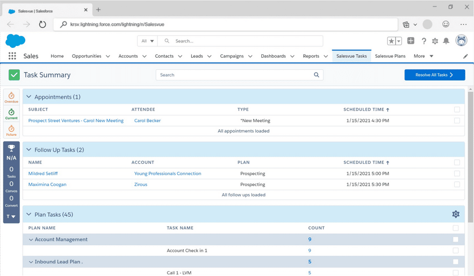 Salesvue Screenshot 2