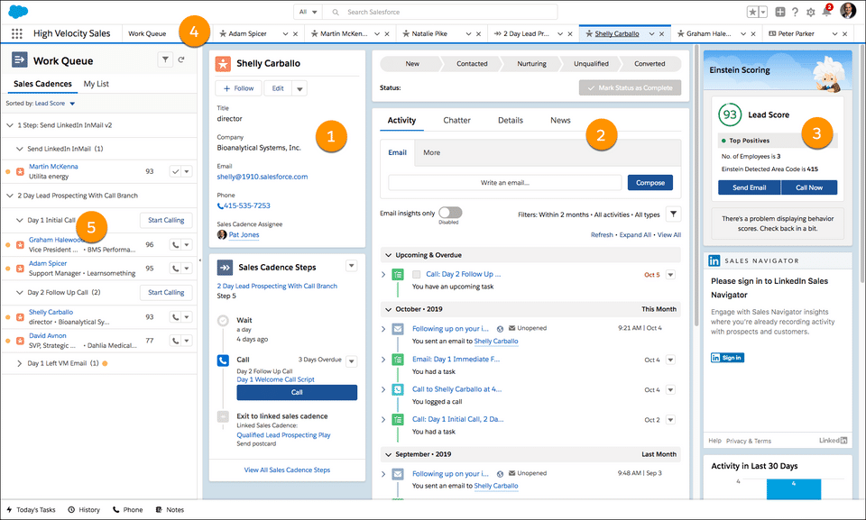 Salesforce High Velocity Sales Screenshot 1