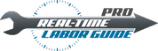 Real-Time Labor Guide