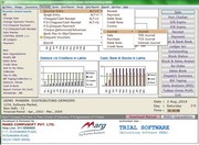 MARG ERP 9+ Accounting Software Screenshot 2