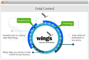 Wings Accounting Screenshot 2