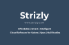 STRIZLY Alternatives & Competitors