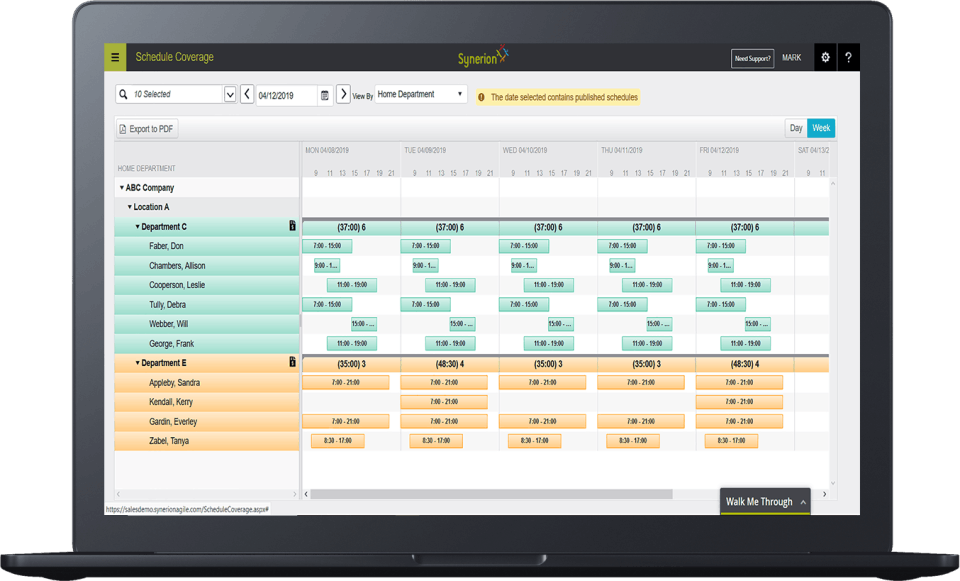 Synerion Screenshot 3
