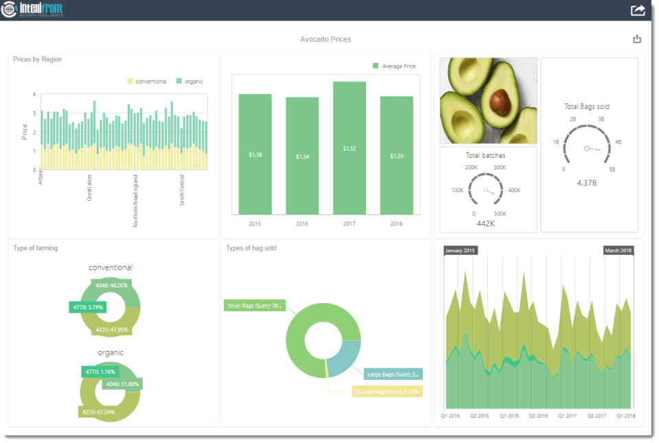 IntelliFront BI Screenshot 1