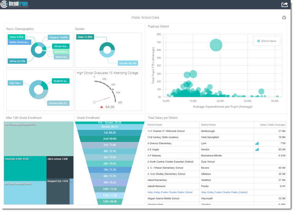 IntelliFront BI Screenshot 3