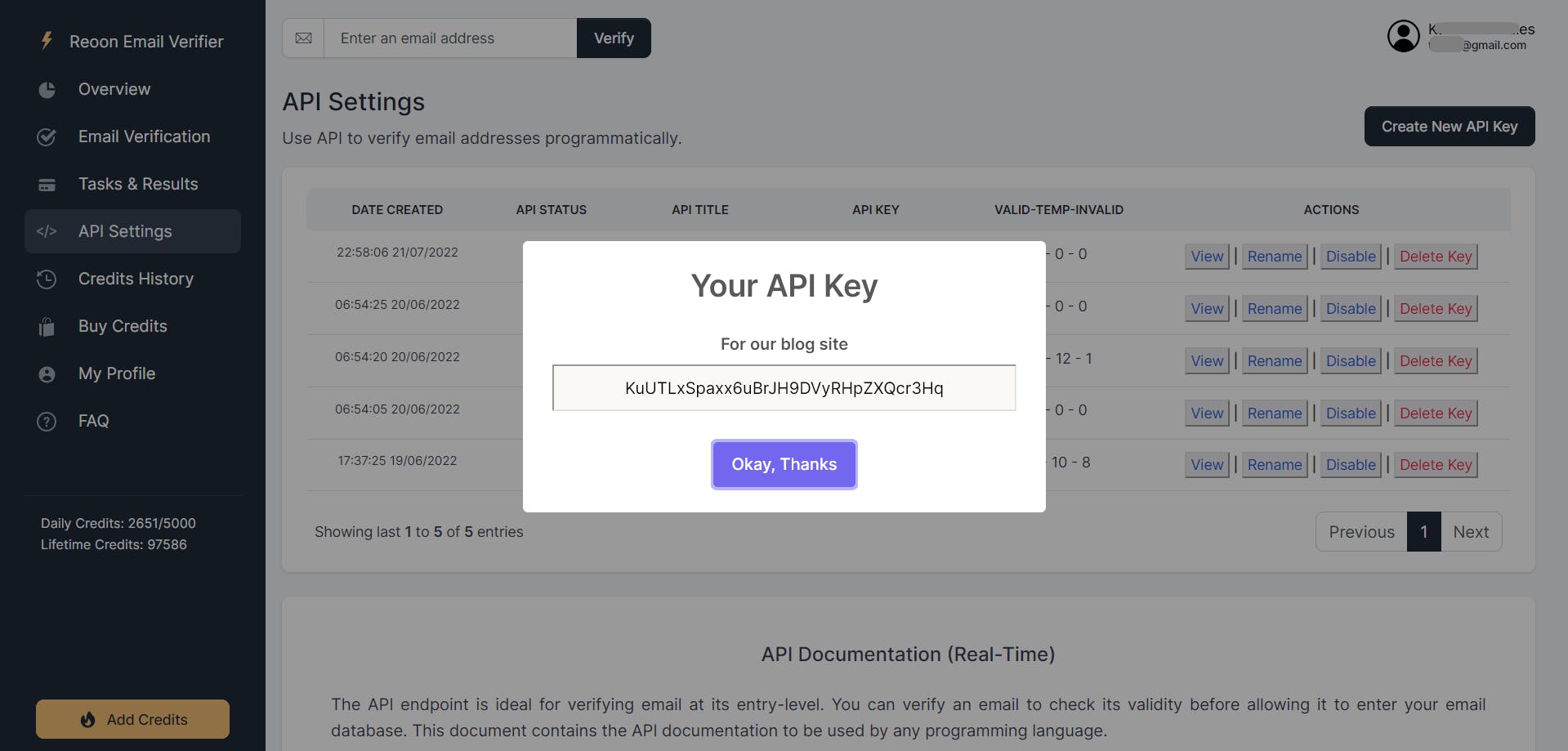 Reoon Email Verifier Screenshot 5