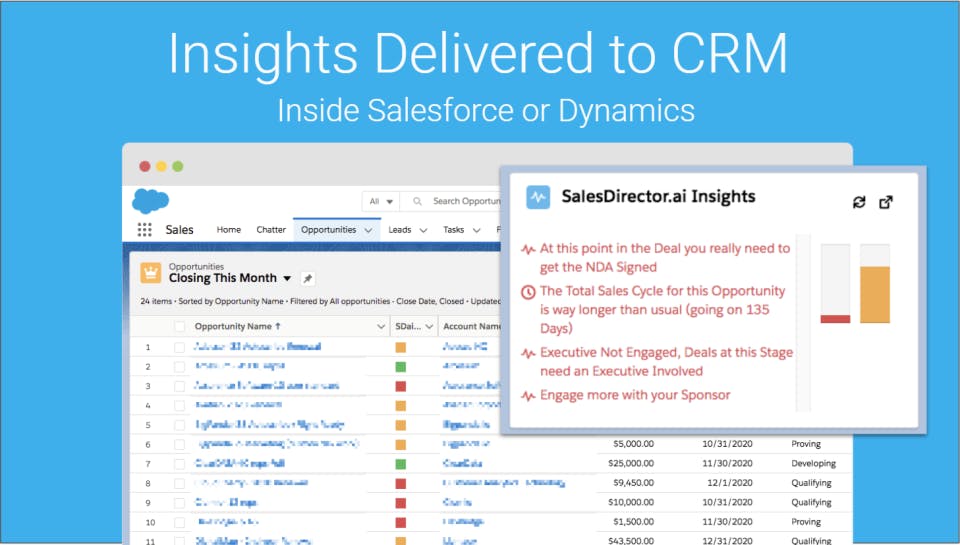 SalesDirector.ai Screenshot 4