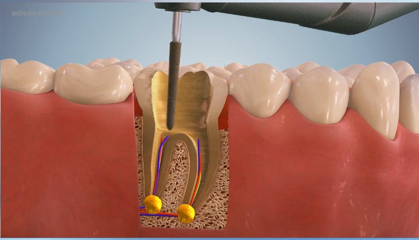 DentalMaster Screenshot 3